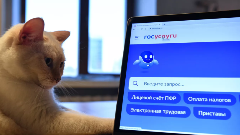 Шадаев: в 2023 году в России заблокировали 122 тысячи фишинговых ресурсов
