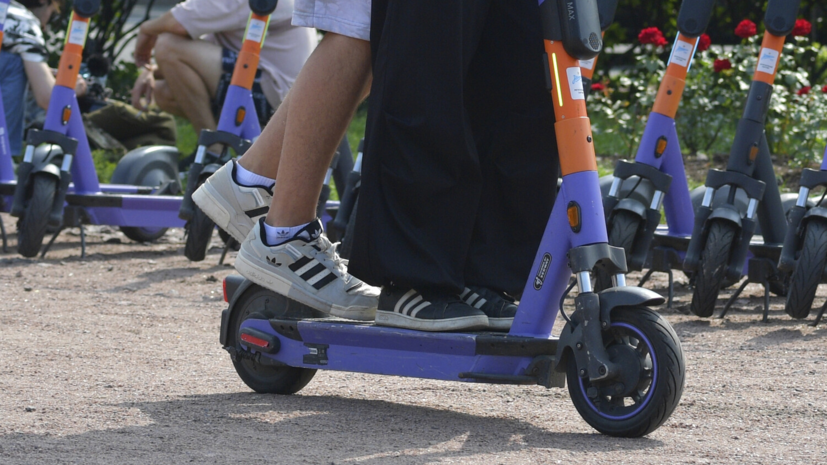 Специалист Эрдман рассказала о способах пожаловаться на самокатчиков-нарушителей