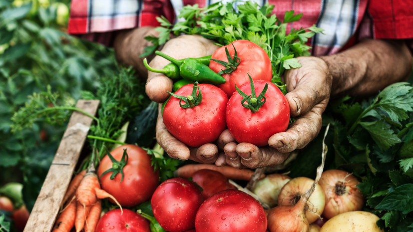 На межрегиональные ярмарки Москвы привозят фермерские продукты из 40 регионов