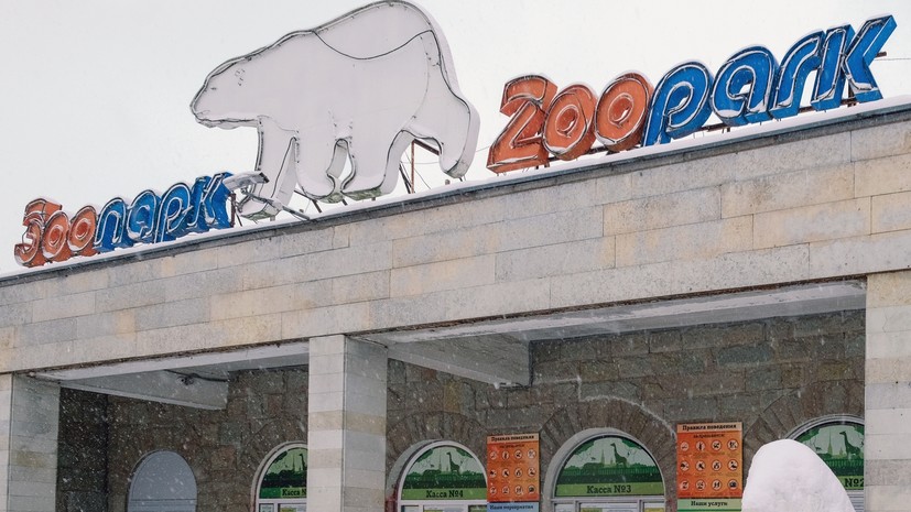 Ленинградский зоопарк эвакуировали в Петербурге из-за сообщения о минировании