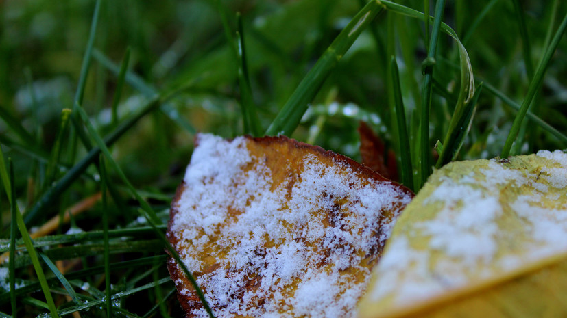 Доцент Олейникова рассказала о влиянии резкой смены погоды на здоровье