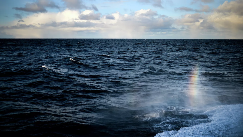 Начался пятый сезон научно-просветительского проекта «Ледокол знаний»