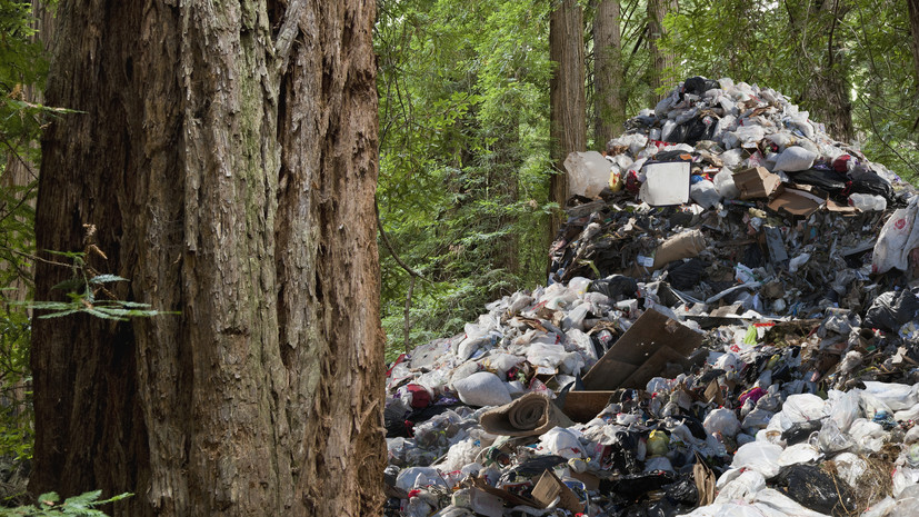 В лесах Подмосковья уберут более 100 навалов мусора