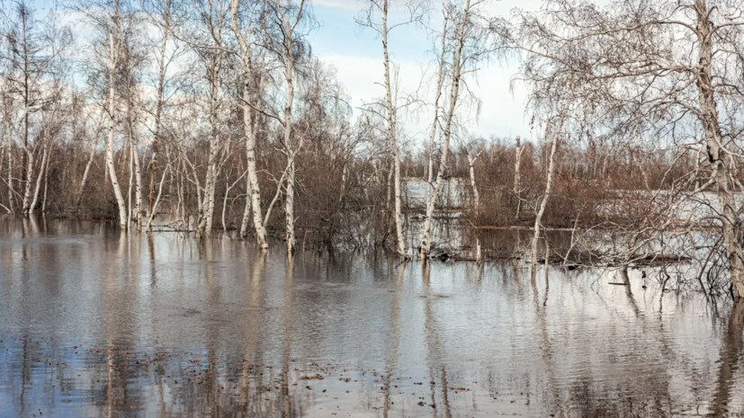 Паводковые воды начали заливать подъезд к курганскому селу, дорога перекрыта