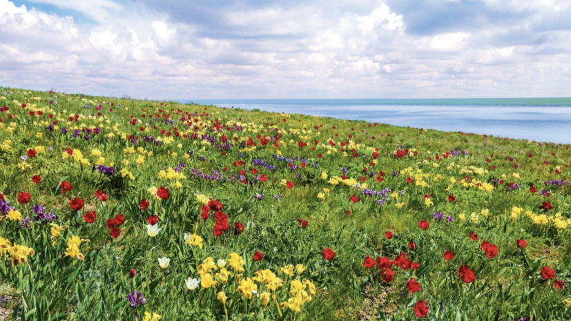 Фестиваль экологического туризма пройдёт в Ростовской области 13 апреля