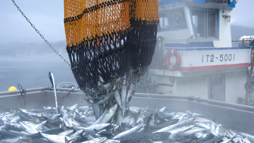 Активы приморских рыбопромышленников перешли в собственность России