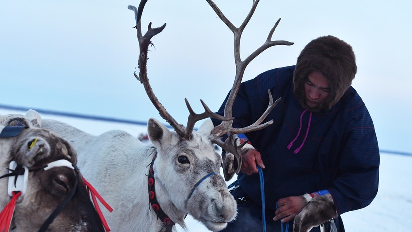День оленевода прошёл на Ямале