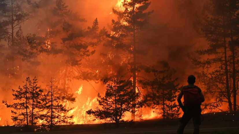 Противопожарный режим вводят в лесах Марий Эл с 20 апреля