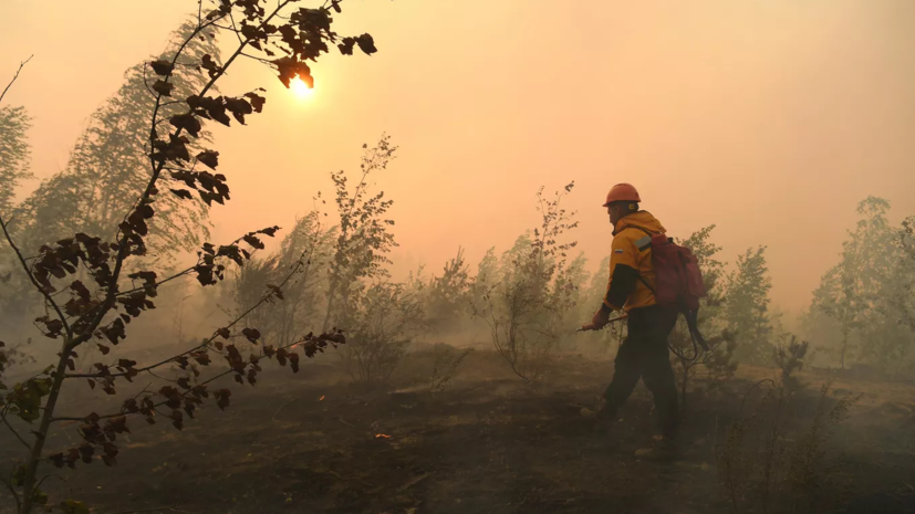 В ХМАО объявили дату начала пожароопасного сезона