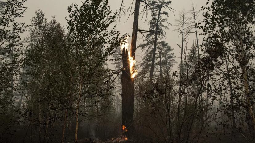 В Челябинской области ликвидировали первые в сезоне лесные пожары
