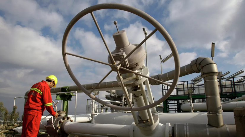 РБК: экспорт газа в Европу по «Турецкому потоку» остался на рекордном уровне