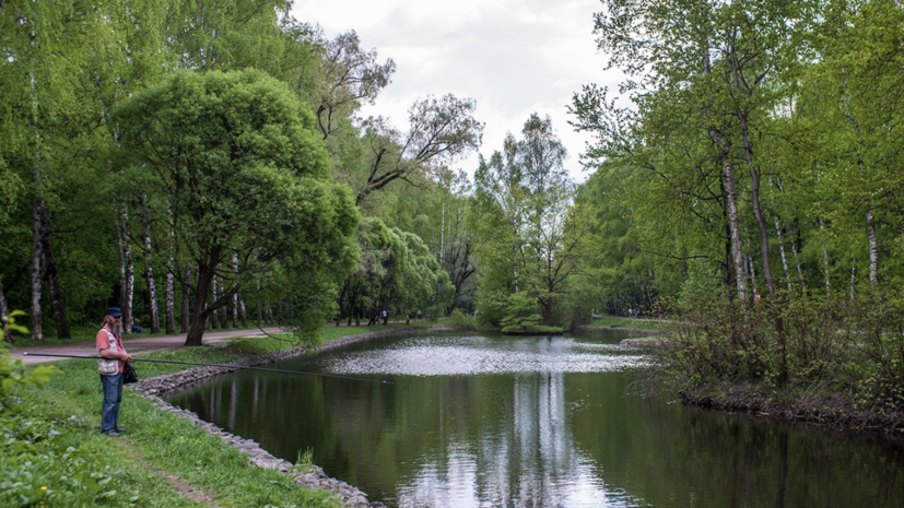 В парке «Сокольники» начали реабилитацию пяти Оленьих прудов