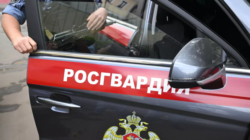 Росгвардия задержала в Москве мужчин, выхвативших из машины сумку с деньгами