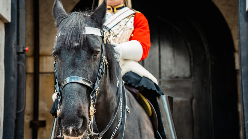 Четыре человека пострадали в Лондоне из-за лошадей королевской конной гвардии