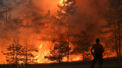 В ХМАО спрогнозировали ситуацию с лесными пожарами в регионе