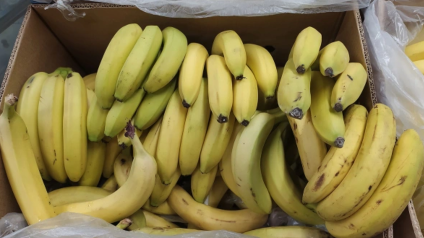 В порту Петербурга на прибывшем из Эквадора судне с бананами нашли 60 кг кокаина