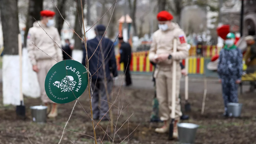 Татарстан примет участие в акции «Сад памяти»