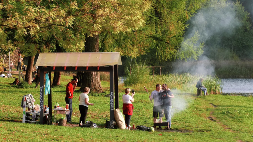 Подмосковные врачи рассказали о подготовке к пикнику