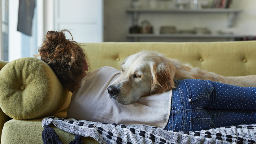 Сомнолог Полуэктов рассказал о причинах повторяющихся снов