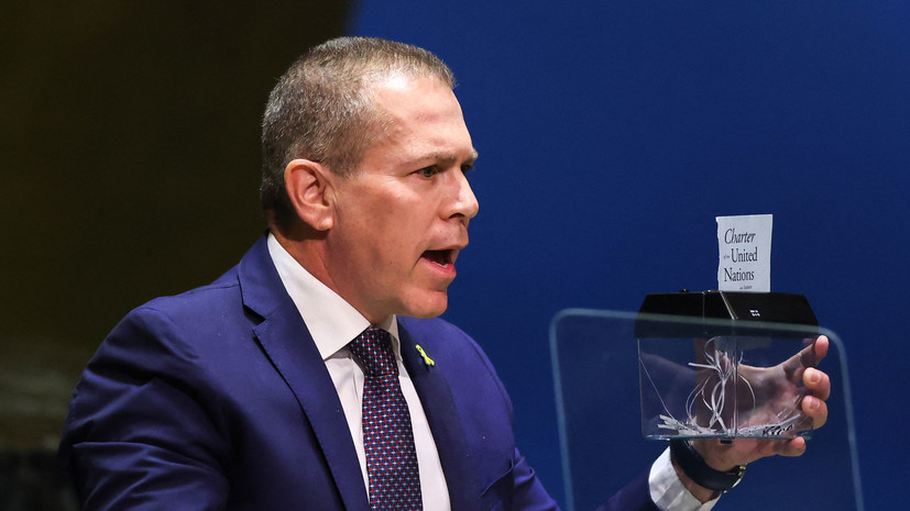 В Турции назвали неуважением к международному праву поступок посла Израиля в ООН