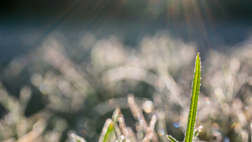 В Челябинской области морозы сохранятся до 25 мая