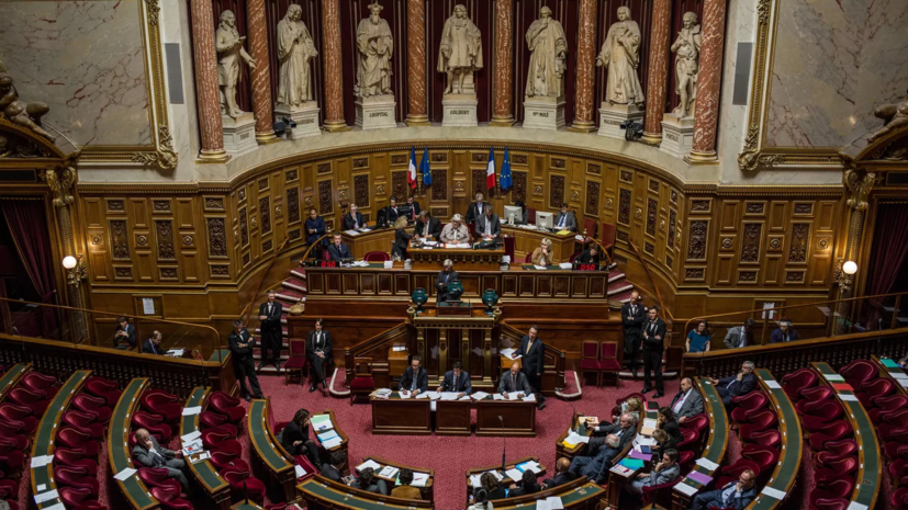 Во Франции сенат начинает рассмотрение законопроекта об иноагентах