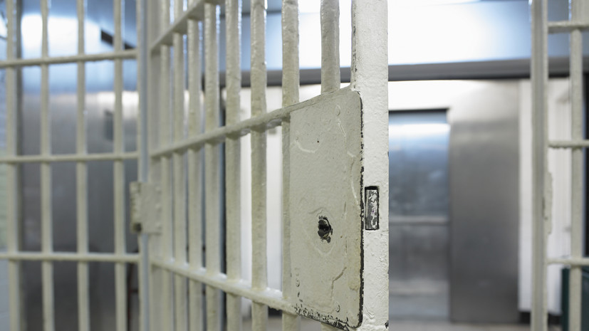 Адвокат Яшина заявил, что осуждённого поместили в штрафной изолятор на 15 суток