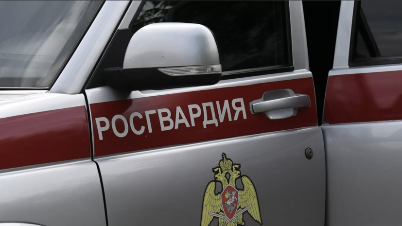 Росгвардия задержала в ДНР семерых подозреваемых в пособничестве ВСУ
