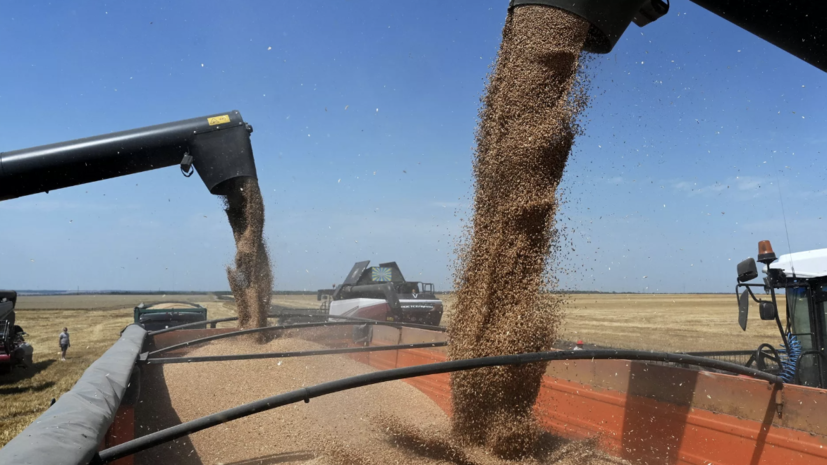 Евросоюз повысил пошлины на зерно из России и Белоруссии