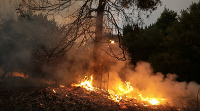 Специалист Халилов рассказал о способах защиты дома от лесных пожаров
