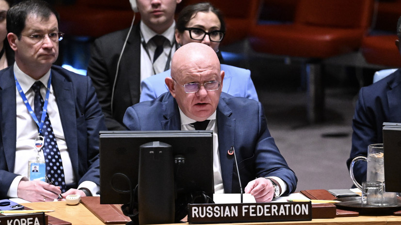 Небензя: Россия разочарована отсутствием должной реакции ООН на гибель Кожина