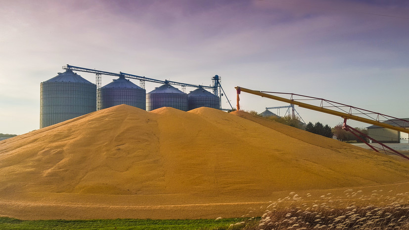 Экс-разведчик DGSE Жюйе: Украина обманывала весь мир по вопросу вывоза зерна
