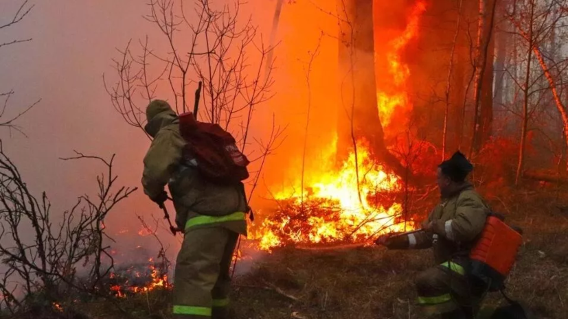 Лесной пожар тушат в районе Лара в турецкой Анталье, где находятся отели