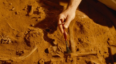 Археологи нашли захоронения XVIII века до нашей эры в Самарской области