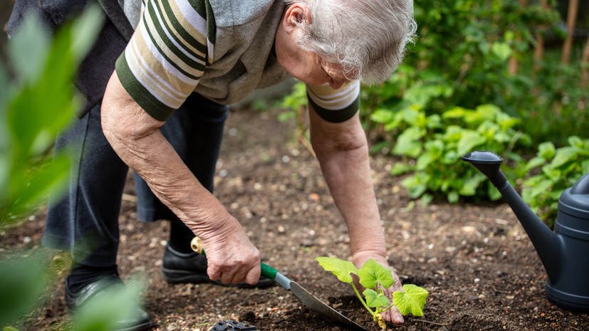 Врач Балан посоветовала пожилым ограничить садовые работы в жару