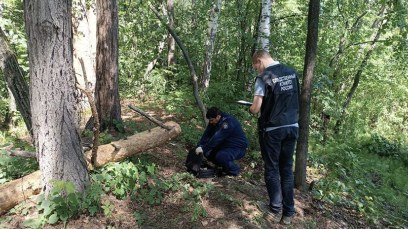 В Челябинской области двоих детей придавило упавшим на палатку деревом