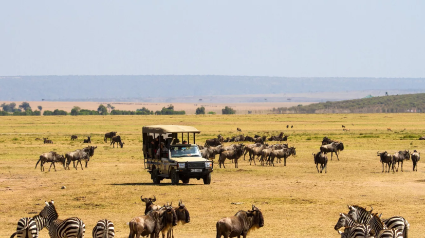 В топ наиболее интересных направлений для туристов в Африке вошли Танзания и ЮАР