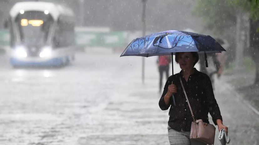 Синоптик спрогнозировал кратковременные дожди и грозы в Москве в воскресенье