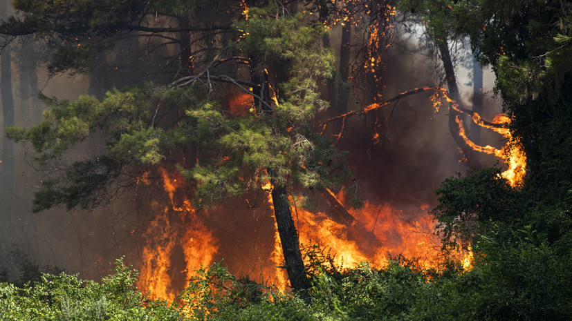 Оперштаб: лесной пожар под Новороссийском перекинулся на три базы отдыха