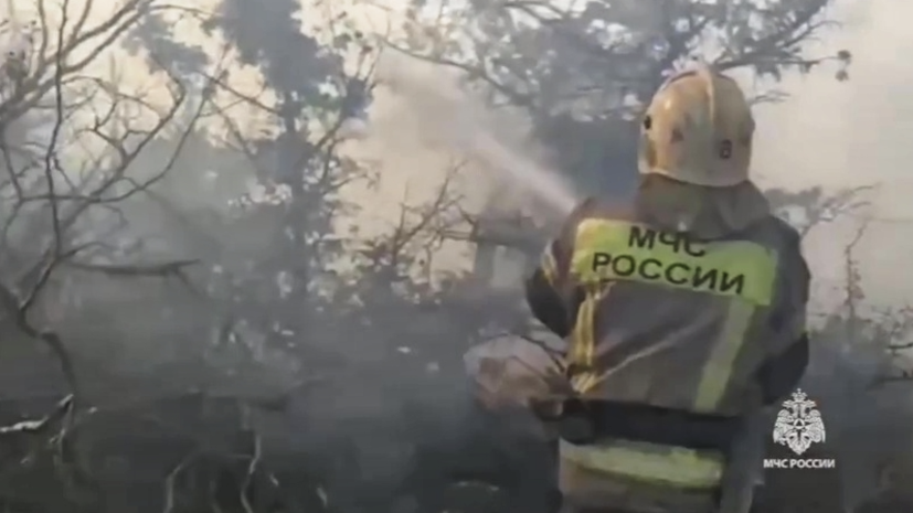 МЧС: с трёх баз отдыха на Кубани из-за пожаров эвакуированы 296 человек