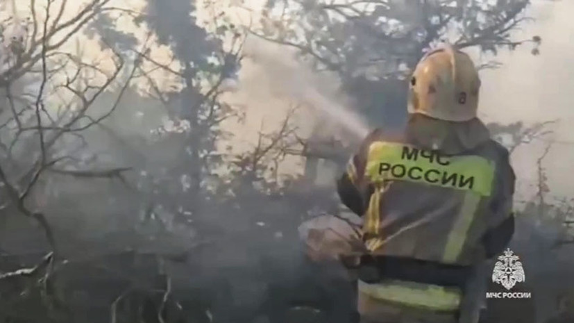 МЧС опубликовало кадры тушения пожара в Краснодарском крае