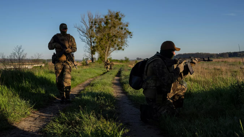 Подполье: под Одессой семь дезертиров ВСУ устроили перестрелку с пограничниками