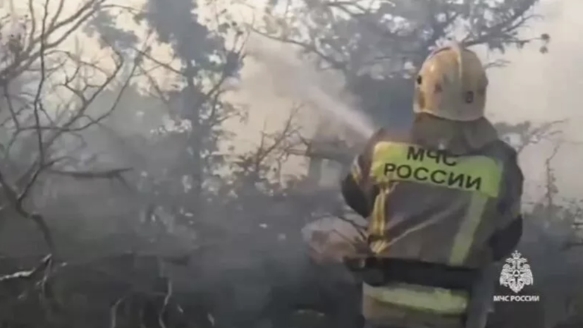 Более 50 военнослужащих Росгвардии тушат пожар в Коктебеле