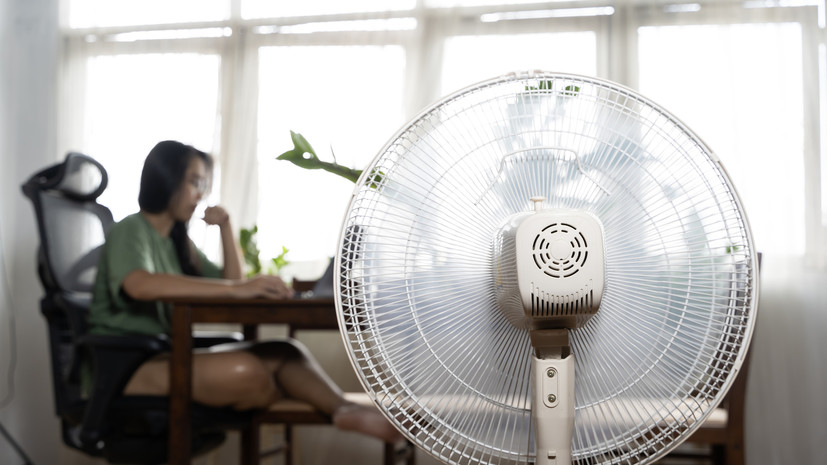 Специалист Дроздова рассказала о способах сохранения продуктивности в жару