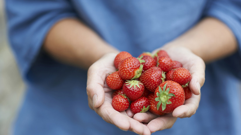 Врач Кашух рассказала, что июльские ягоды богаты витаминами