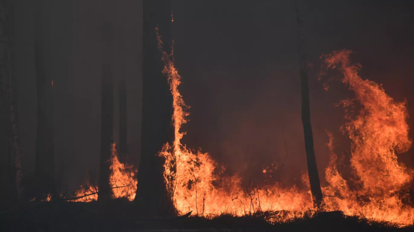 В ЯНАО число природных пожаров увеличилось до 11 за сутки