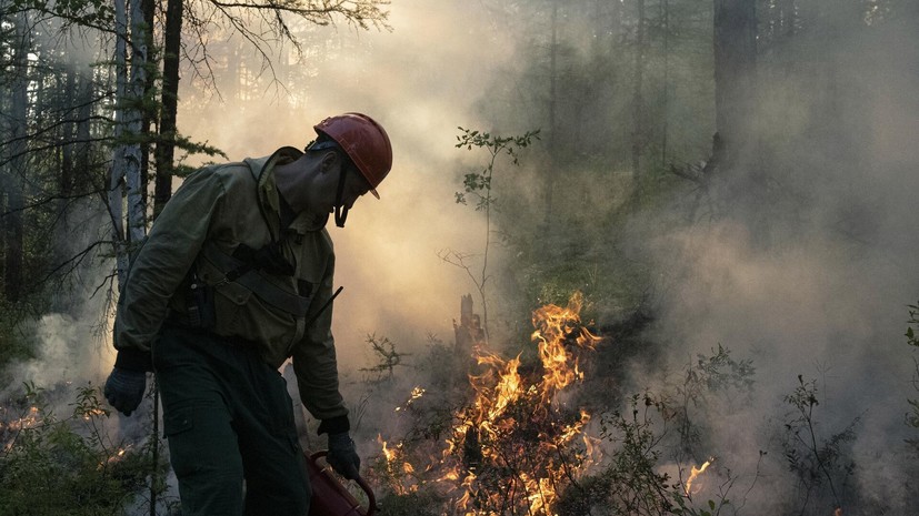 В Нижегородской области сохраняется высокая пожароопасность лесов