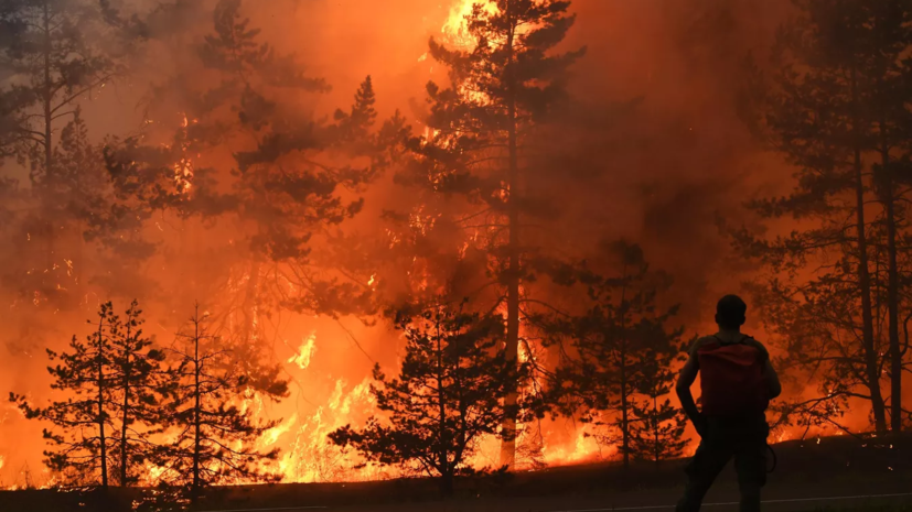 Площадь лесных пожаров на Ямале превысила 19 га