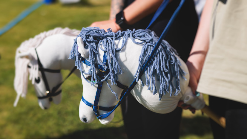 Милонов прокомментировал увлечение подростков хоббихорсингом и квадробингом