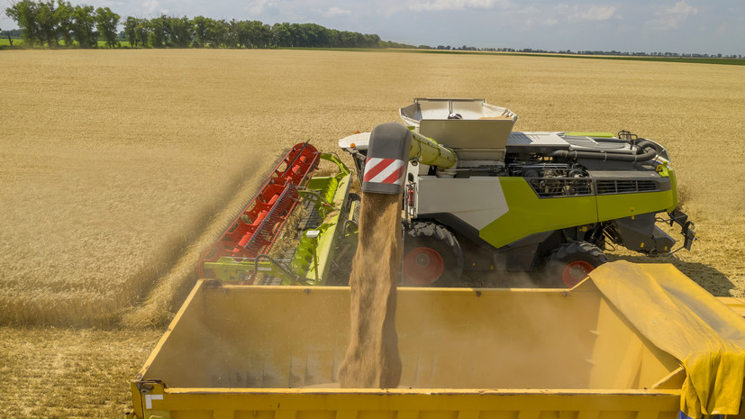 Аграрии собрали три миллиона тонн зерна в Волгоградской области
